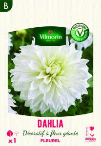Dahlia décoratif à fleur géante Fleurel XXL (x1)